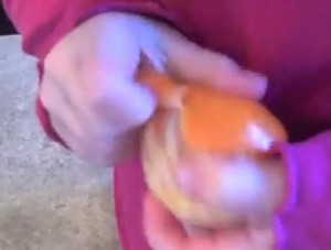 peeling oranges