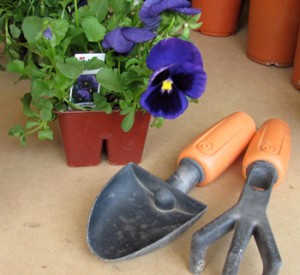 Gardening with Preschoolers