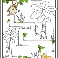 Monkey Maze activity page