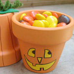 Pumpkin pots