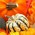 Activities for Thanksgiving