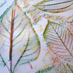 Leaf rubbing