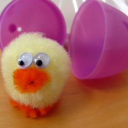 Cute and fuzzy chick craft