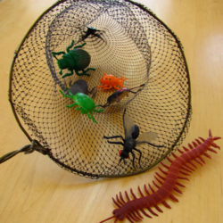 Make a bug or butterfly net
