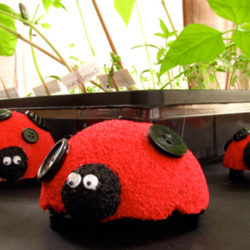 Cute Styrofoam ladybugs