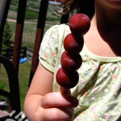 Frozen grape pops