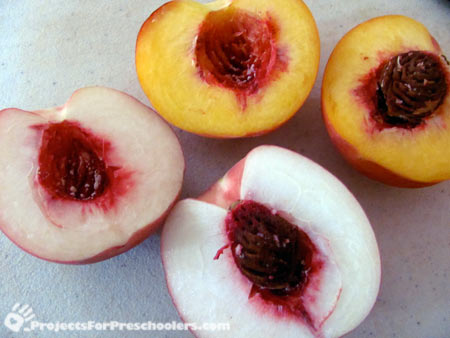 White and yellow peaches