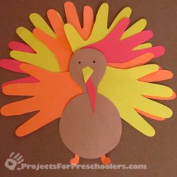 Make hand-print turkeys from colored paper