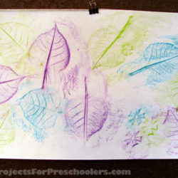 Leaf Rubbing art