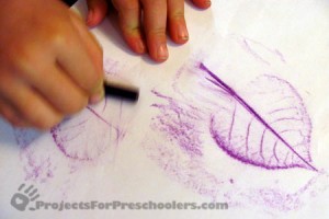 How to make leaf rubbing art