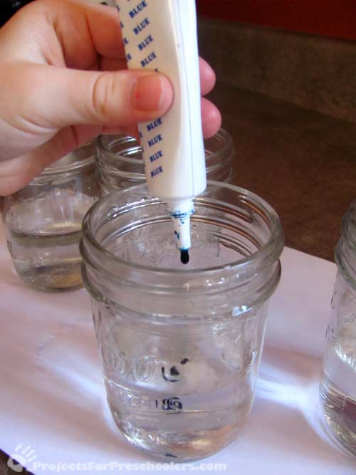 squeeze food coloring into jar of water