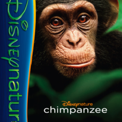 Disneynature’s Chimpanzee activity pages