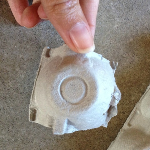 cut out one section of the egg carton
