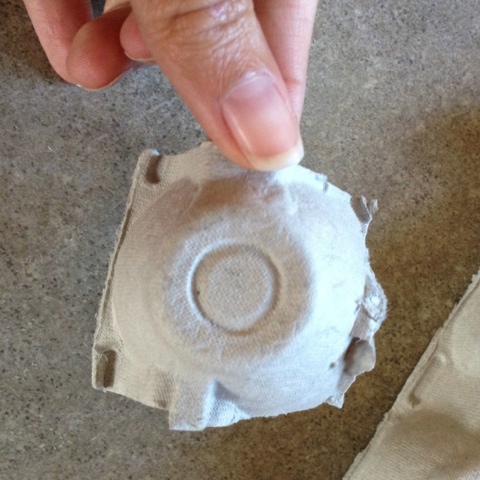 cut out one section of the egg carton cut out one section of the egg carton