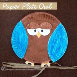 Paper plate owl craft