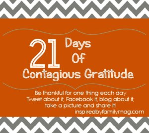 21 days of gratitude