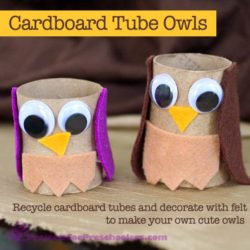 Cardboard Tube Owls