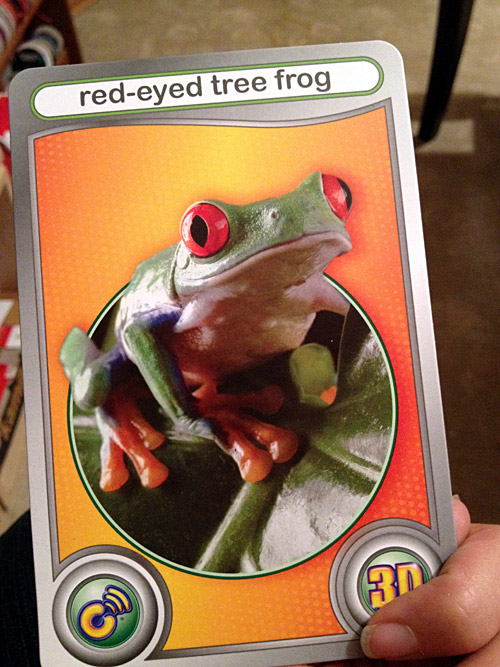 Cypher Kids Club frog card