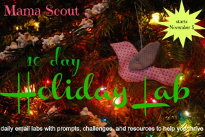 Holiday elab giveaway at MamaScout