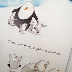 Baby Penguins Everywhere!